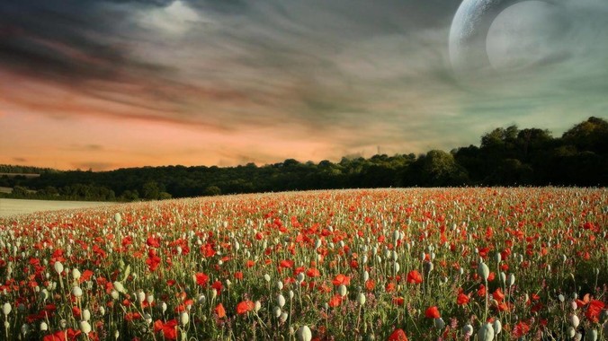 鱼缸有没有简单的过滤配置搭配方式？